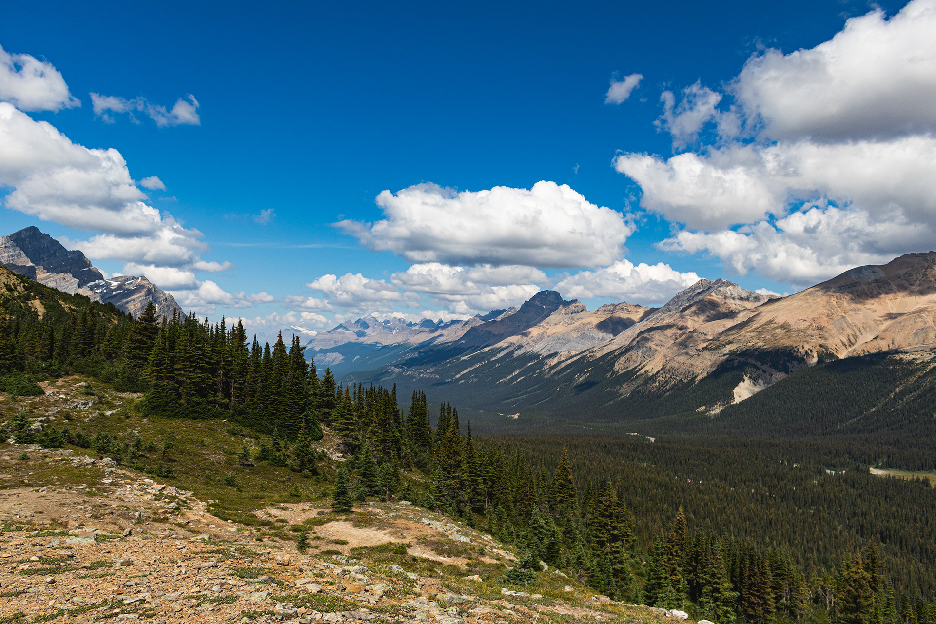 Valley lined with rocky mountains, seen from a mountain on the opposite side of the valley.